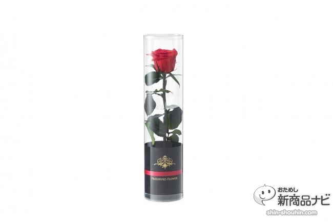 おためし新商品ナビ Blog Archive プリザーブドフラワーdenpo 一輪のバラ お祝いの気持ちを鮮やかで日持ちのするバラの花 に添えて