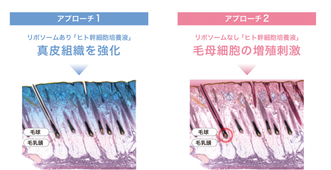 おためし新商品ナビ » Blog Archive » 抜ける、薄くなる、細く