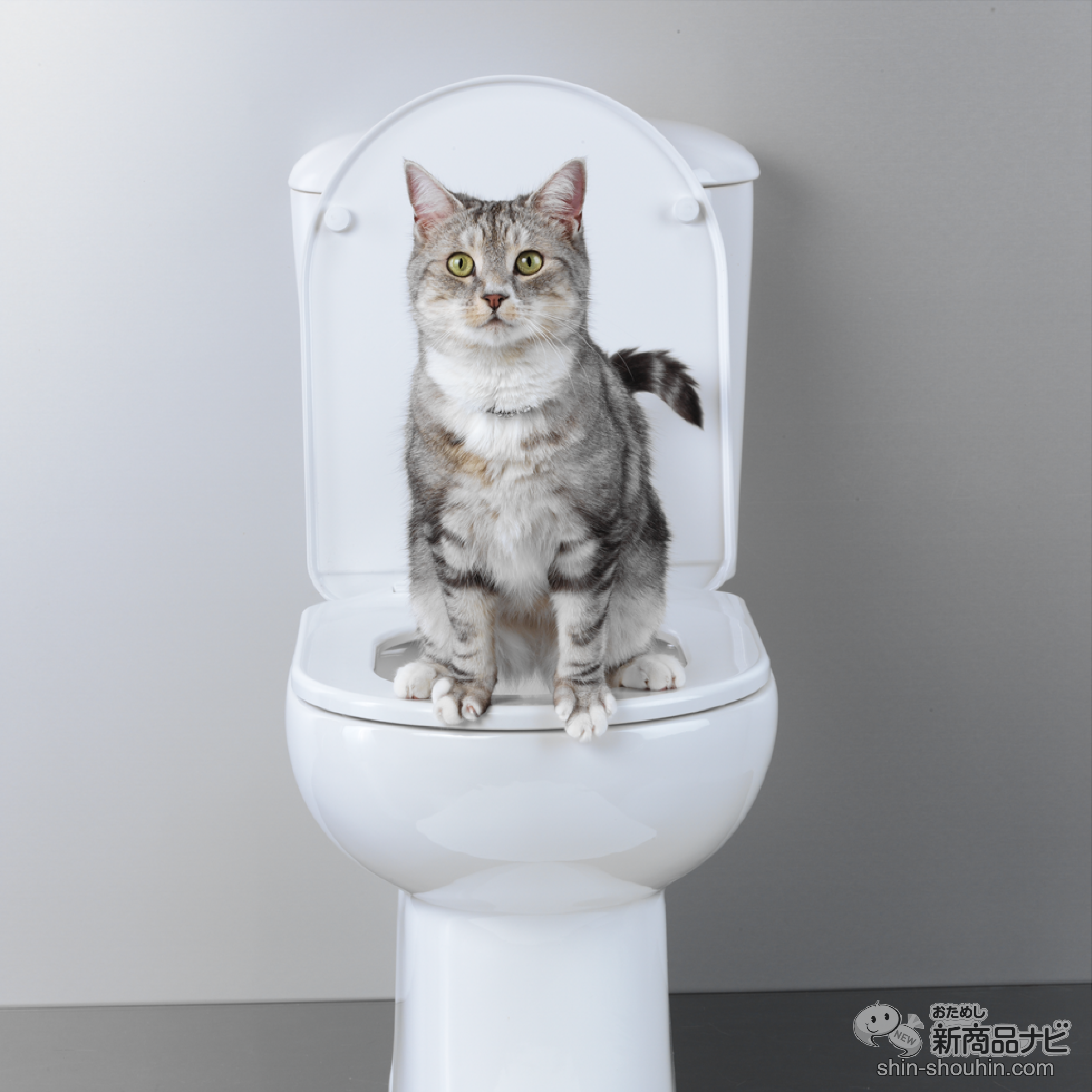 おためし新商品ナビ » Blog Archive » 愛猫と便座シェア!猫も洋式